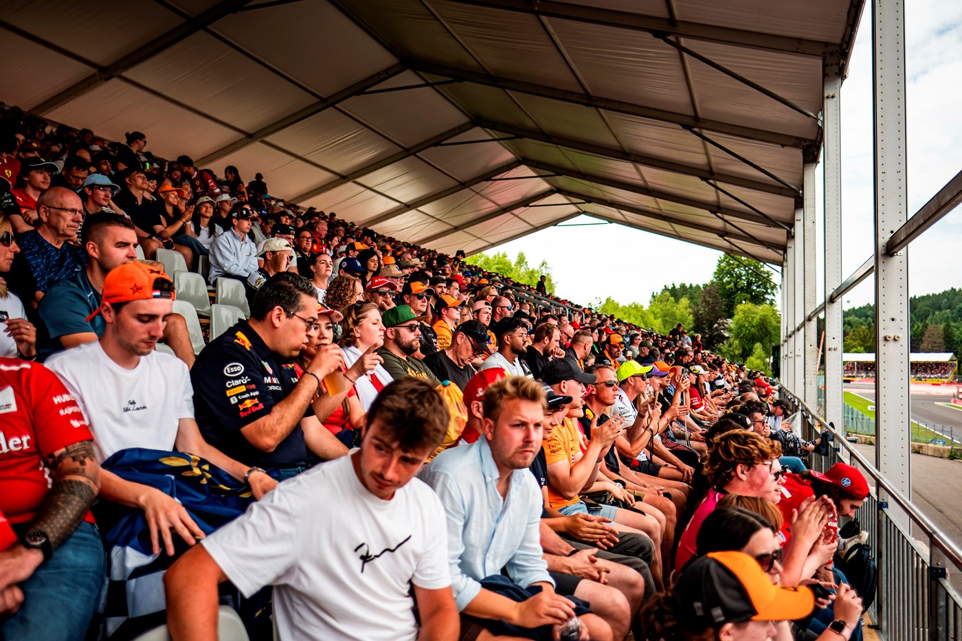 Tribunes_Gold9_9bis 10